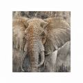 Quadro Elefante