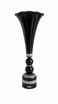 Taça Check